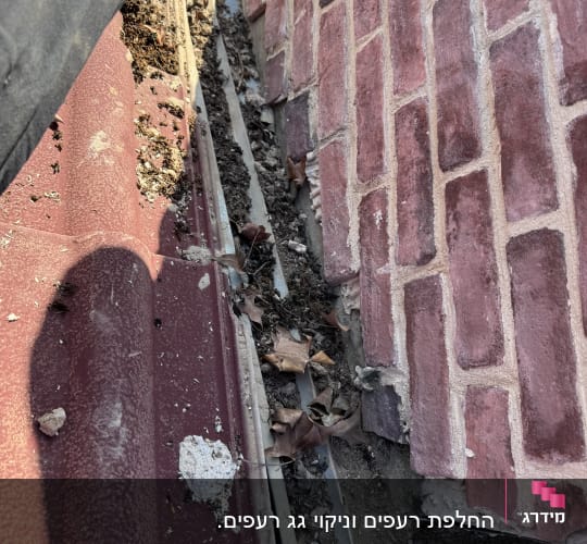 גג רעפים אדומים עם עלים ולכלוך בין הרעפים
